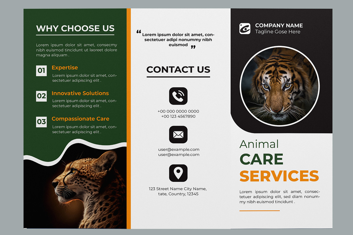 Animal Care Trifold Layout, a Brochure Template by MightyDesign (Photo 2 of 7)