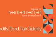 Gambit FD Neue, a Sans Serif Font by FontDuo (Thumbnail 5 of 11)