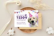 Let's Paw-ty Pet Birthday Invitation, a Design Template by TemplateCastleStore (Thumbnail 6 of 9)