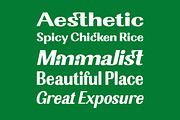 Ashetta, a Sans Serif Font by Romiecreative (Thumbnail 5 of 12)