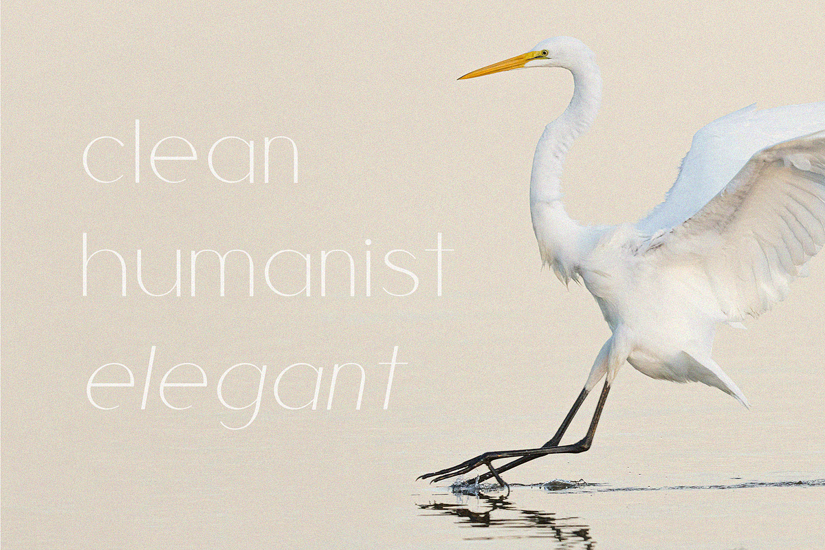 Cherla - Clean & Visual Elegance, a Sans Serif Font by BOOSH Studio (Photo 8 of 14)