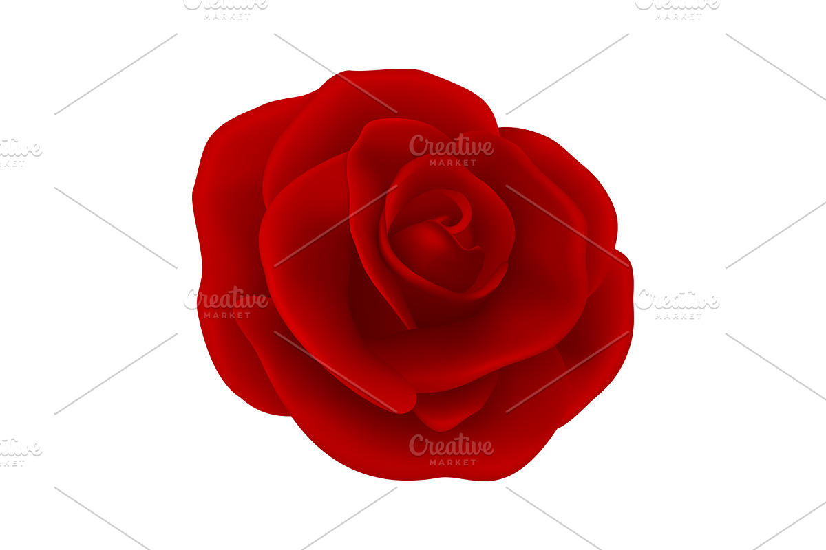 Rose. Vector Set., an Object Graphic by Gomolach (Photo 3 of 6)