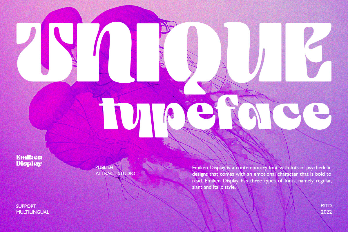 Emiken Display, a Serif Font by Attract Studio (Photo 3 of 17)