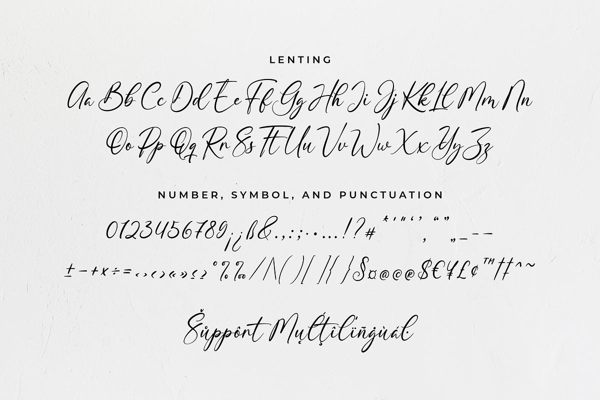 Lenting - Calligraphy Script Font, a Script Font by Ainun Jinan (Photo 7 of 8)