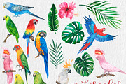 Watercolor Tropical BIG BUNDLE PNG, a Seasonal Illustration by PatternPalette (Thumbnail 11 of 15)
