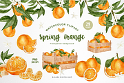 Watercolor Orange Fruit Clipart PNG, a Food Illustration by Balada Digital Art (Thumbnail 1 of 6)