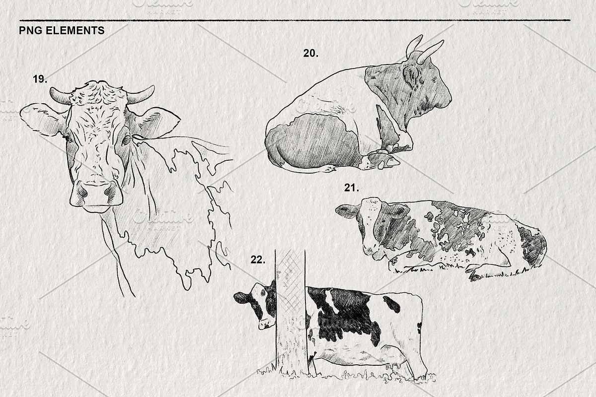 Sketch of a cow PNG, an Animal Illustration by LOKSKIH (Photo 7 of 7)