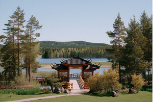Summer in Latvia brings lush nature, a Nature Photo by ZinetroN