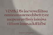 Wastinger Elegant Display, a Serif Font by Typetemp Studio (Thumbnail 16 of 16)