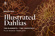 Illustrated Dahlias, a Decorative Illustration by Yung (Thumbnail 1 of 3)