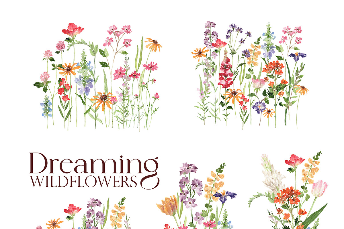 Dreaming Watercolor WILDFLOWER, a Decorative Illustration by Beigetime (Photo 5 of 14)