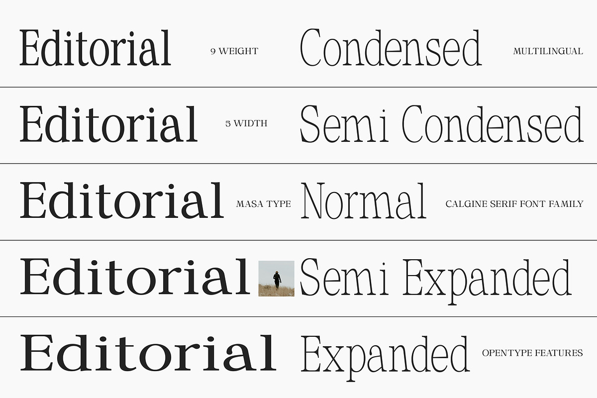 Calgine Serif, a Serif Font by MasaType (Photo 6 of 12)