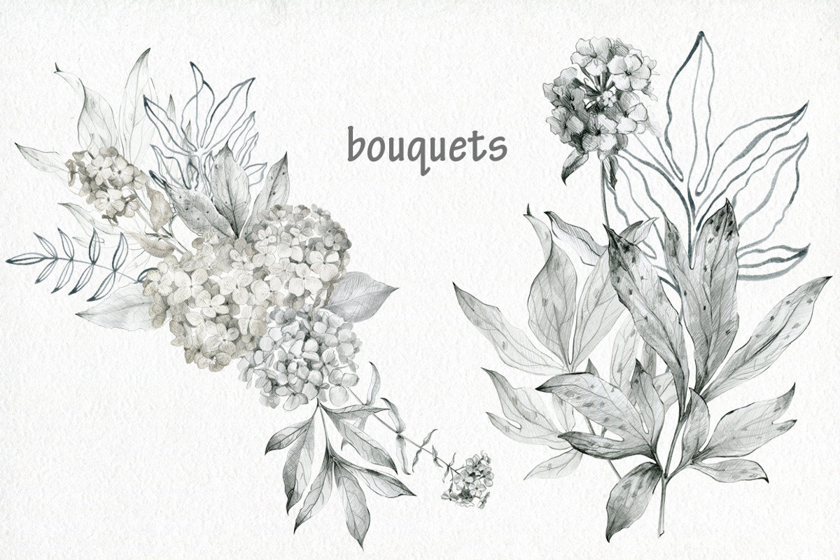 Butterflies and floral collection., an Illustration by TaPilipa (Photo 7 of 13)