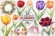 Watercolor Tulip Flower Clipart, an Illustration by RobertsArt (Thumbnail 1 of 5)
