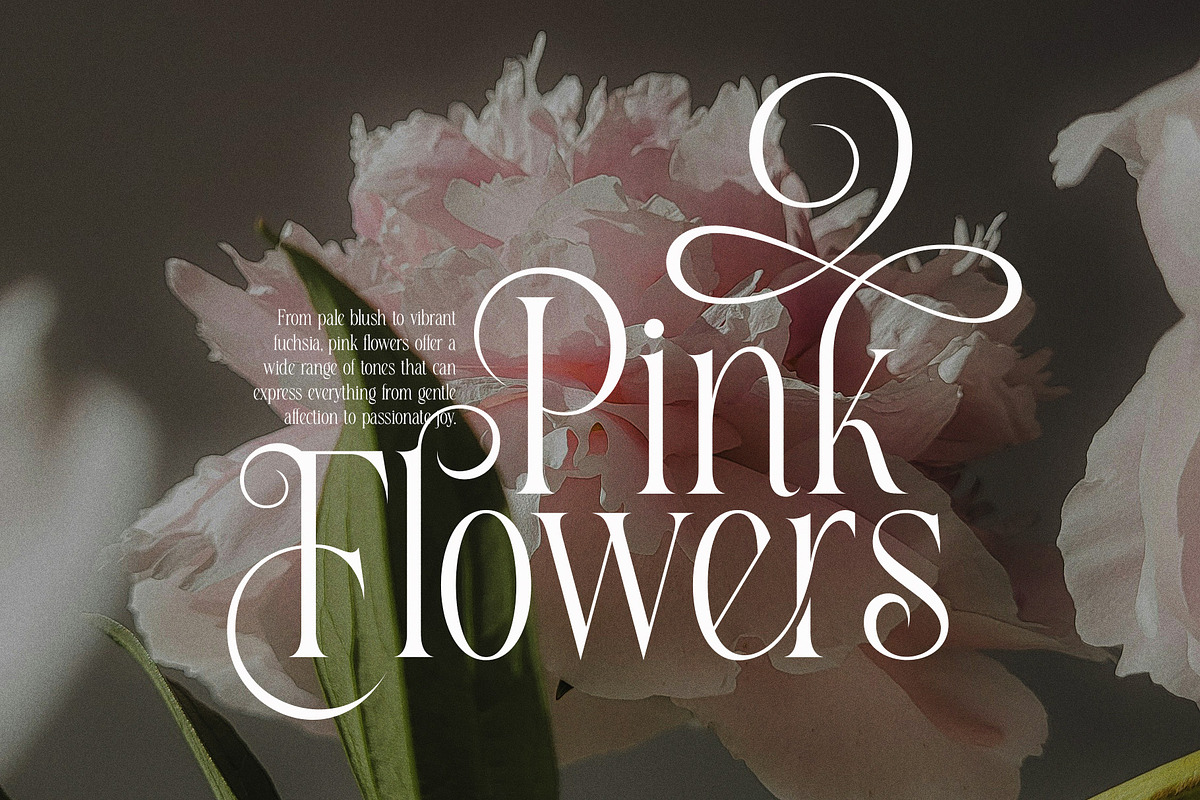 Healing Elegant Serif Typeface Font, a Serif Font by Dylla_studio (Photo 2 of 15)