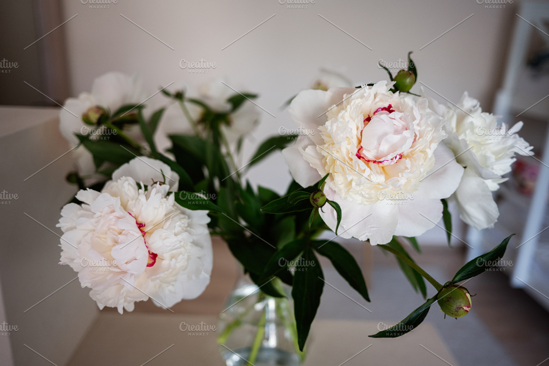 Beautiful white peonies blooming in a glass vase with green leaves, a Photo by AS photostudio