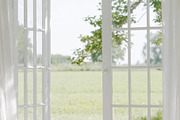 230 Sage Green Stock Images Bundle, a Beauty & Fashion Photo by Allure Art (Thumbnail 21 of 33)