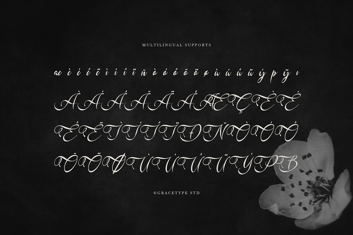 Kadegon | Beauty Calligraphy Script, a Script Font by gracetype_studio (Photo 11 of 12)