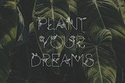 Florium - floral logo font, a Sans Serif Font by Favete Art (Thumbnail 17 of 21)