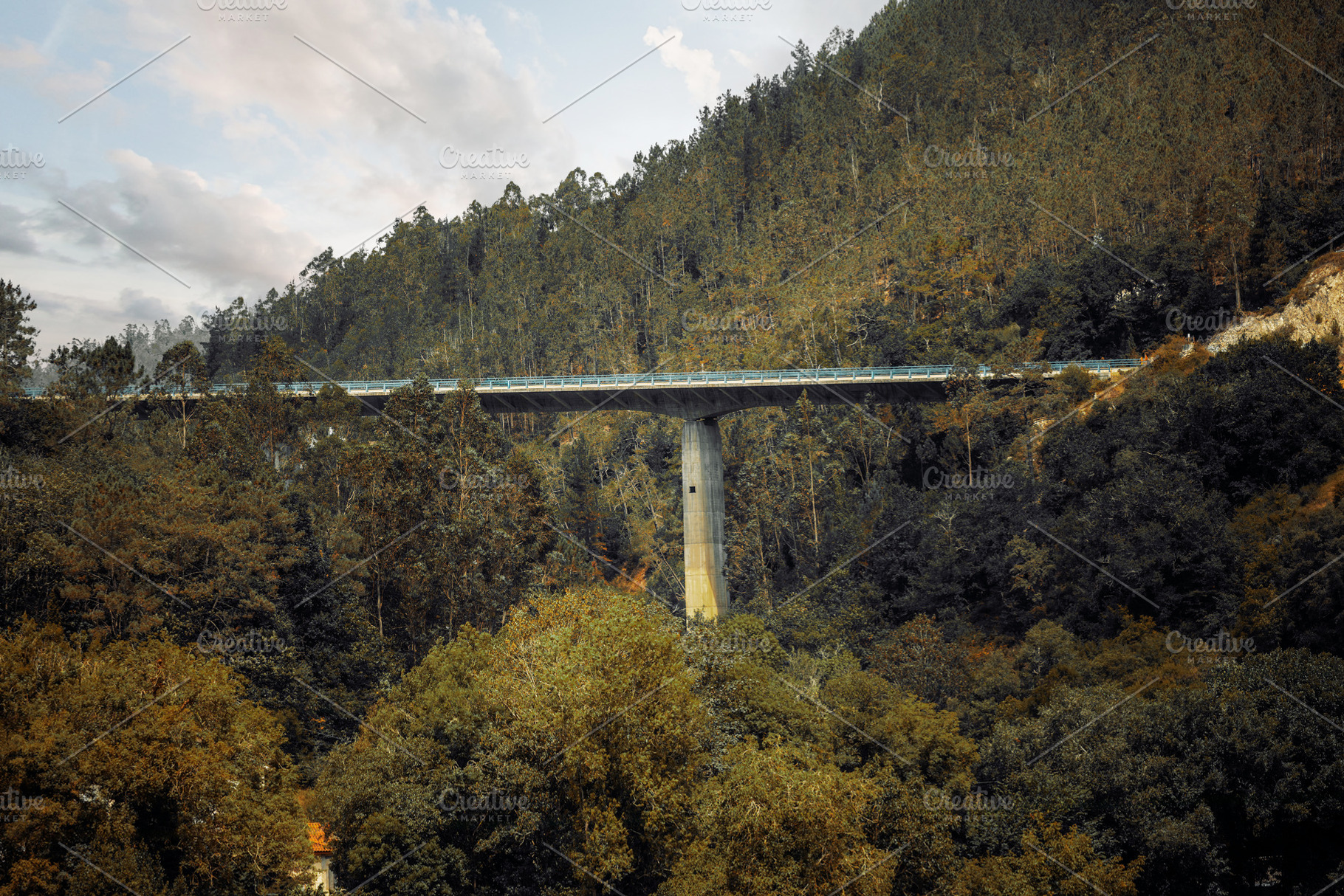 Forest bridge with tall pier, a Transportation Photo by SkyNext