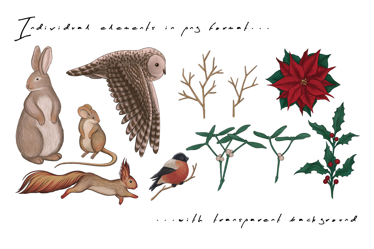 CHRISTMAS FOREST - patterns & motifs, an Animal Illustration by Liiafis (Photo 10 of 15)