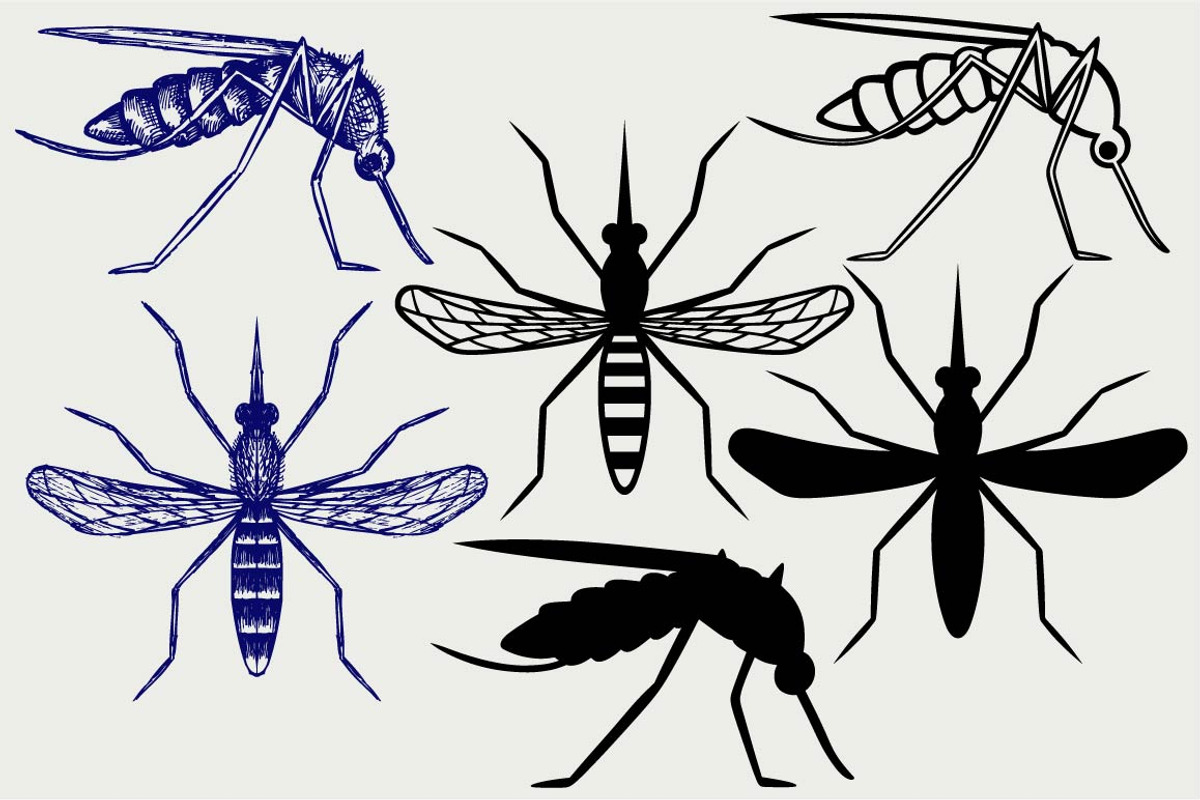 Mosquitoes SVG, an Outline Icon by LineworkStock