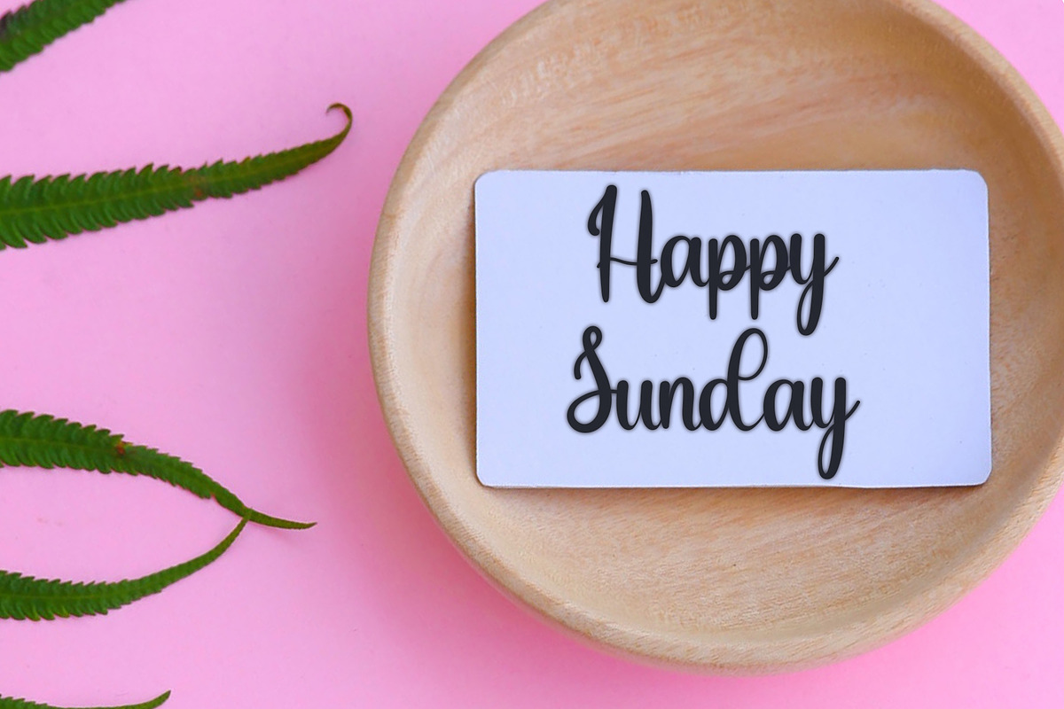 Celebrate, a Script Font by FreshTypeINK (Photo 4 of 7)