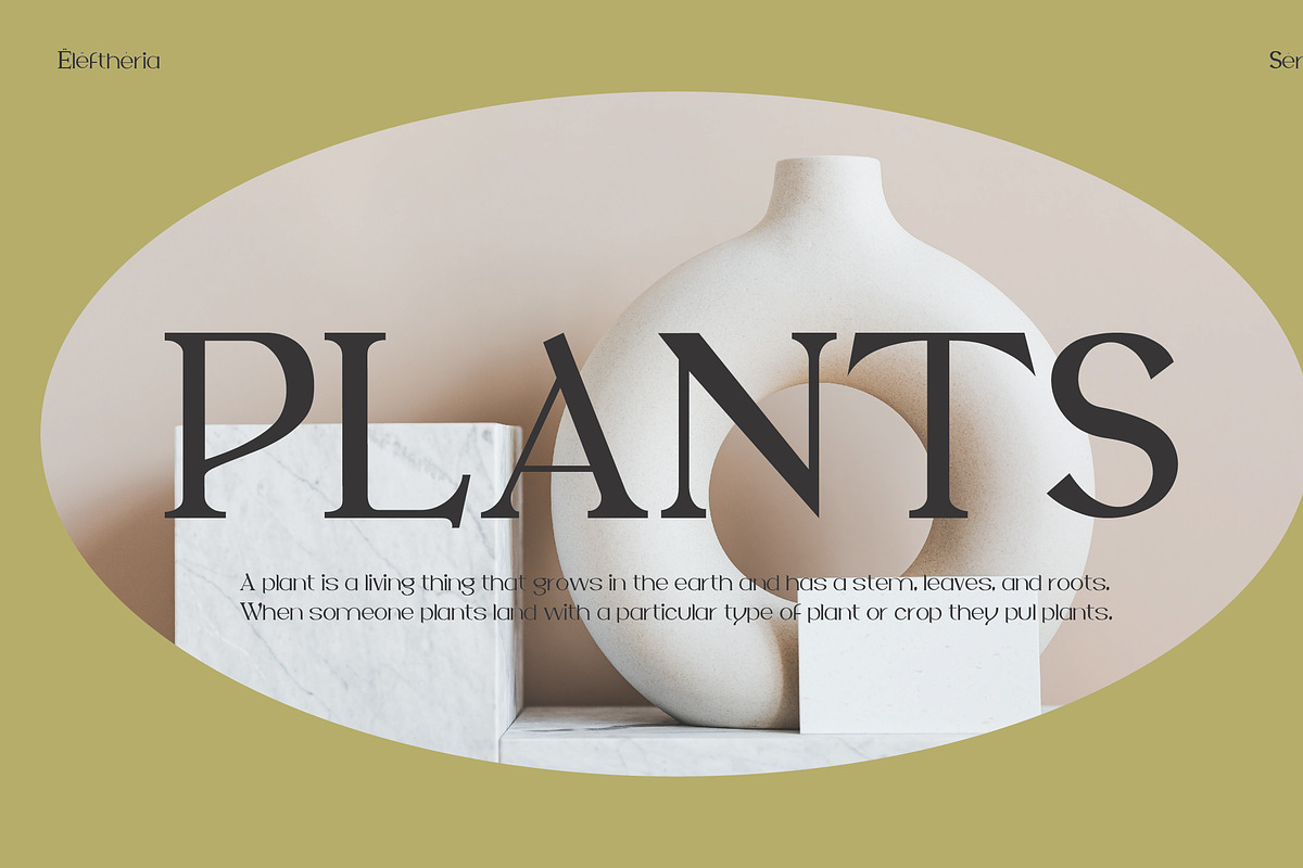 Eleftheria, a Serif Font by Portion.Labs (Photo 7 of 8)
