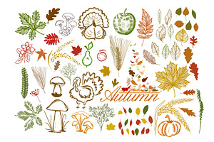 Set of autumn elements. hand drawn, an Object Illustration by Nenahliadava Design