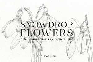 Snowdrop Flowers & Card Templates