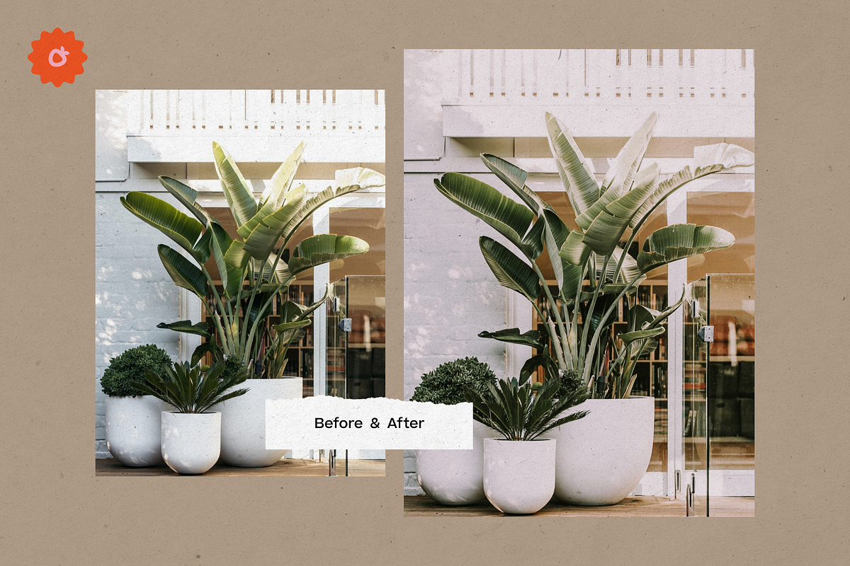 8 Jardin Lightroom Presets, a Preset Add-On by SHOOM HOUSE (Photo 6 of 15)