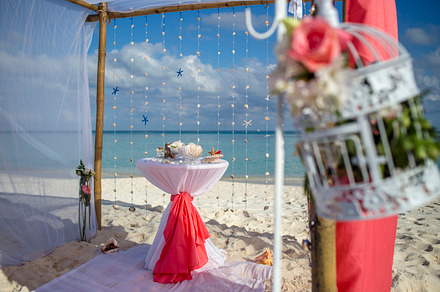 tree roots wedding decor preview 6