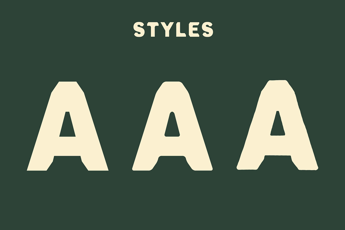 Verine - Classic Elegant Font, a Font by Blazing Sun Creative (Photo 2 of 8)