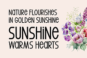Spring Echoes Typeface, a Sans Serif Font by Seemly Fonts (Thumbnail 2 of 6)