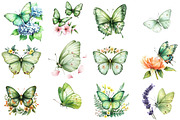 Watercolor Green Butterfly Floral, an Illustration by Watercolor design (Thumbnail 2 of 5)
