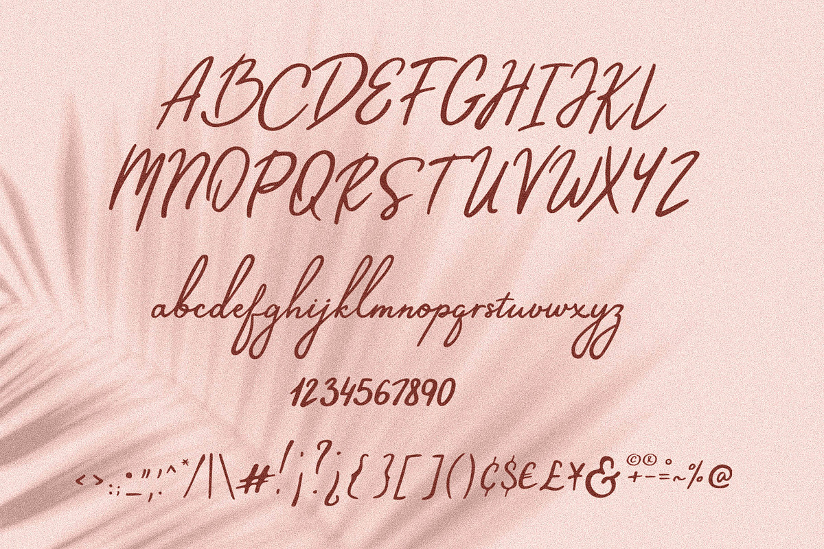 Mon Cherie Script Font preview 8