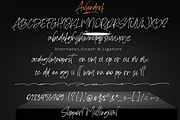 Aulendorf, a Script Font by AMINMARIO (Thumbnail 15 of 17)