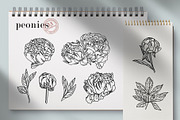 Flowers Line Hand Drawn, a Decorative Illustration by LanaDzi (Thumbnail 5 of 10)