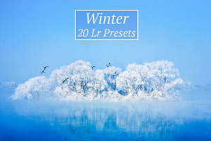 20 Winter Lr Presets