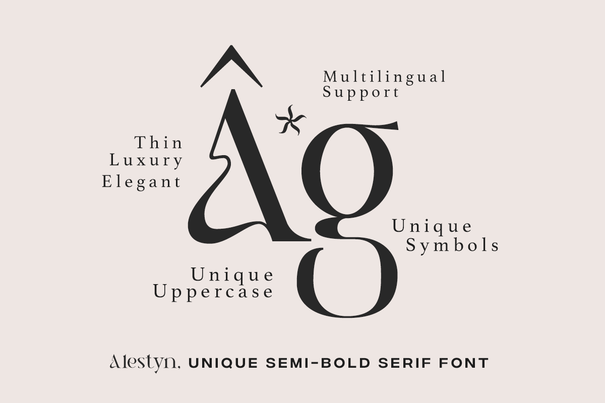 Alestyn - Aesthetic Modern Serif, a Serif Font by Pandeka Studio (Photo 4 of 12)