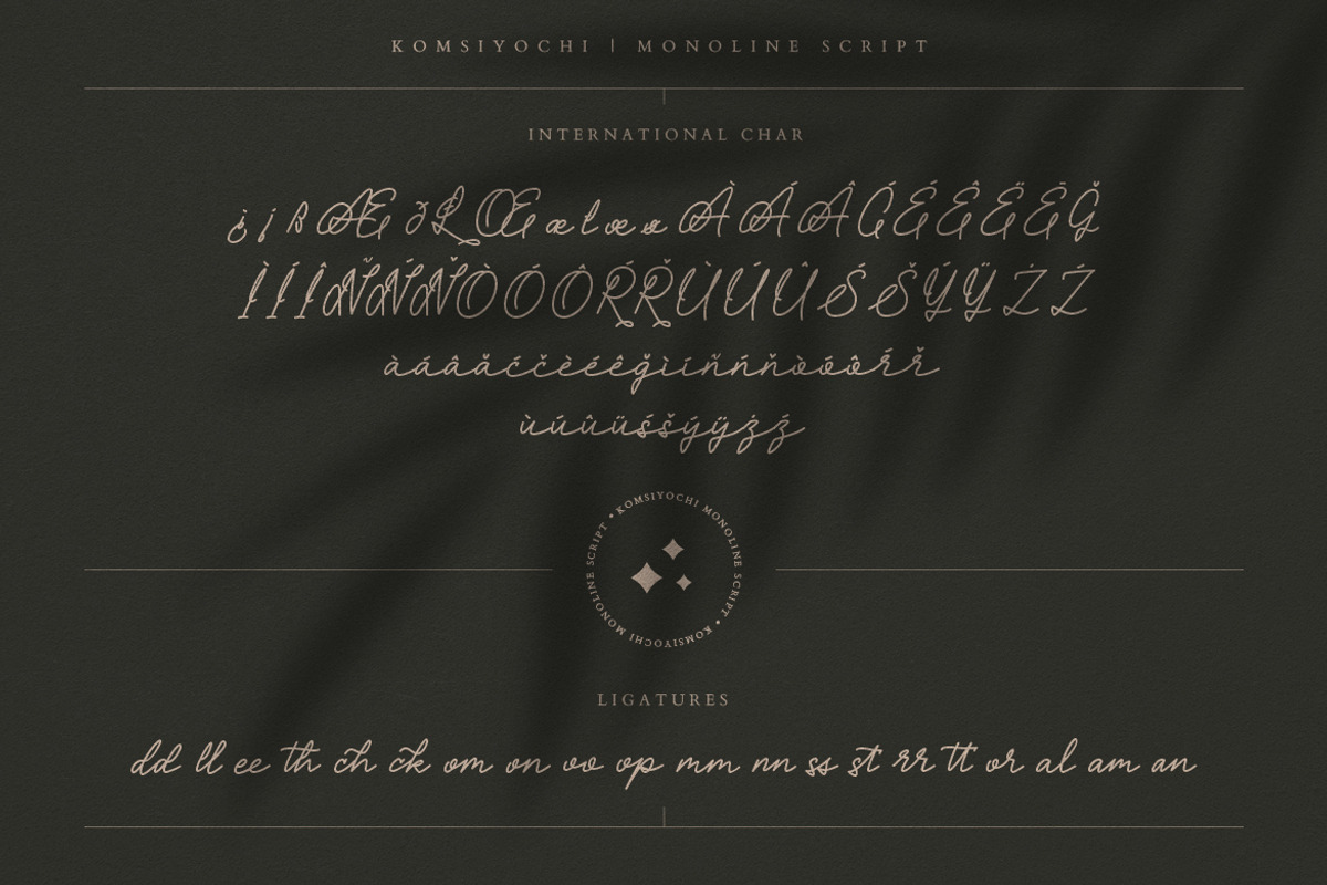 Komsiyochi Monoline Script, a Script Font by Creatype Studio (Photo 9 of 9)