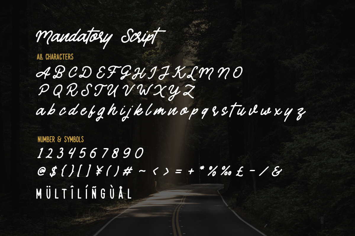 Mandatory - Vintage Font Duo preview 8