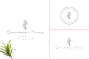 Trending Feminine Logo Bundle V01, a Branding & Logo Template by XpertgraphicD (Thumbnail 12 of 20)