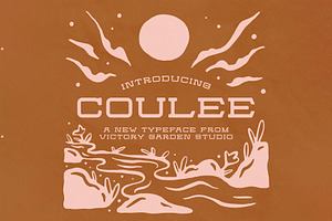 COULEE | Hand Drawn Slab Serif Font