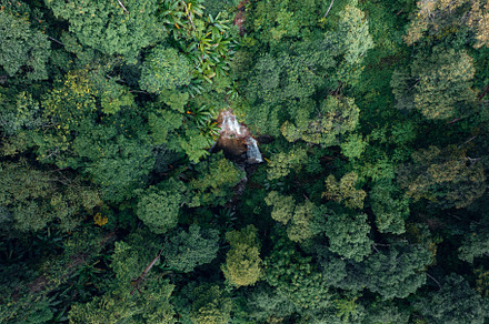 Waterfall in tropical forest,waterfall in jungle, a Nature Photo by Art Rachen