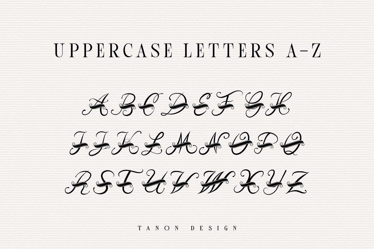 Froero Monogram font, Luxury Logo, a Script Font by Tanondesign (Photo 3 of 4)