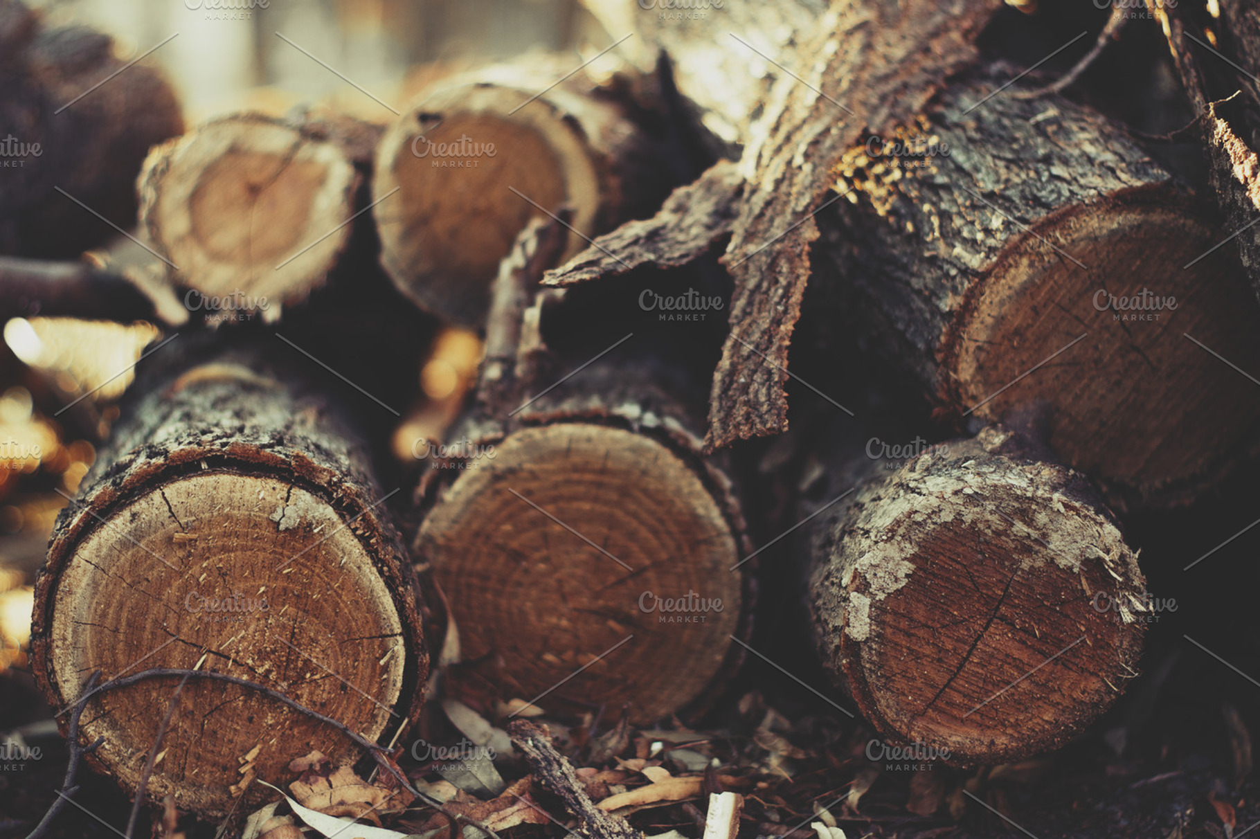 Detailed Timber Log Texture Photo, an Abstract Photo by René Jordaan Photography