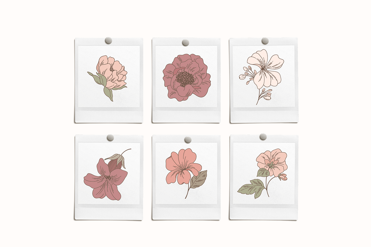 Blush Floral Vector Illustrations, a Decorative Illustration by Emma Webb Studio (Photo 4 of 12)