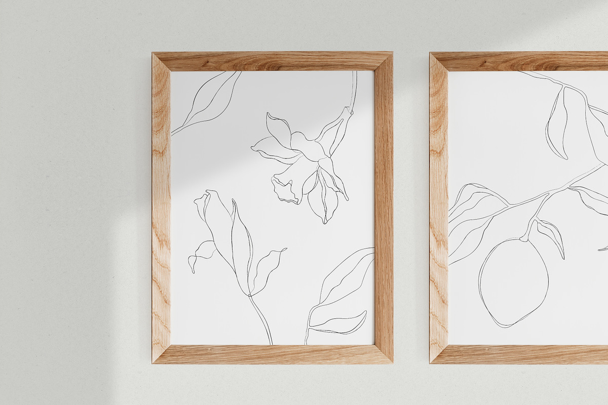 Minimalist Botanical Line Sketches, a Decorative Illustration by Galerie Design Studio (Photo 5 of 6)