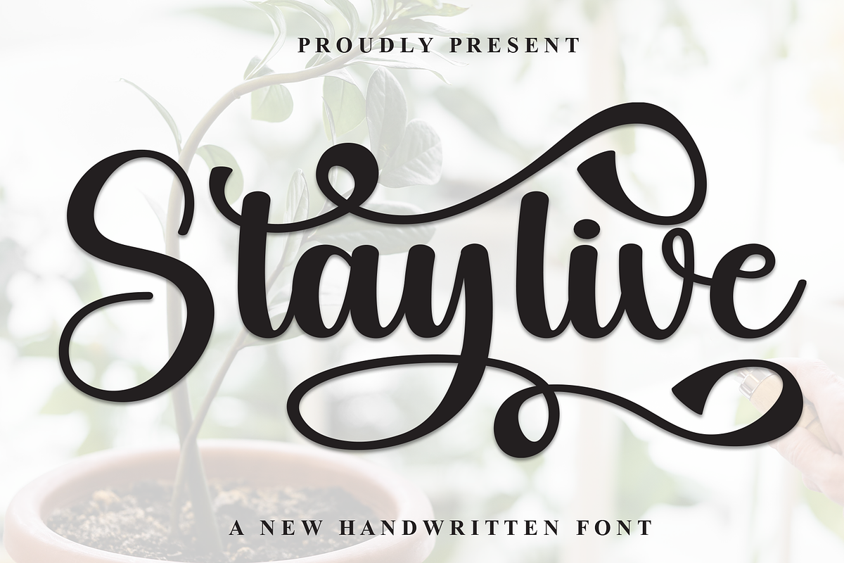 Staylive | Script Font, a Handwritten Font by Scratchones (Photo 1 of 9)